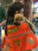 Bass Pro Shops_Dog Days_Friends of the Animal Village_Little Rock Animal Village