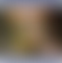 Meet Barley! FAV's Cat of the Week