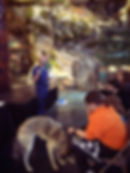 Bass Pro Shops_Dog Days_Friends of the Animal Village_Little Rock Animal Village
