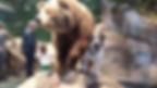 Bass Pro Shops_Dog Days_Friends of the Animal Village_Little Rock Animal Village