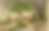 Concept 1.png