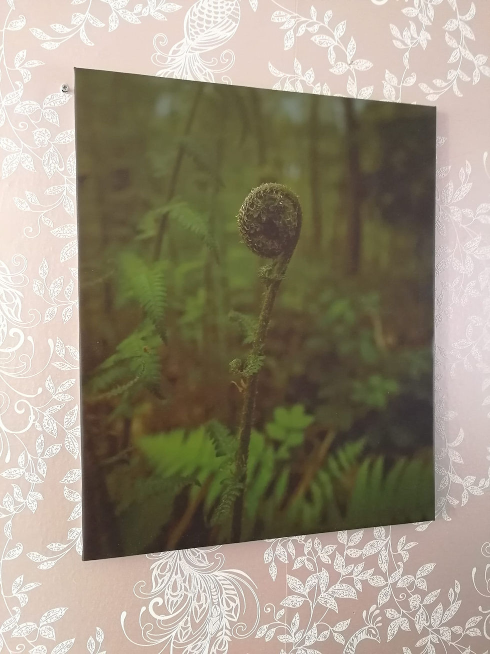 Thumbnail: Printed Canvasses