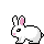 bunny__r1929674141.gif