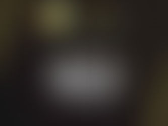 LEASE OF A BRICKIFIELD