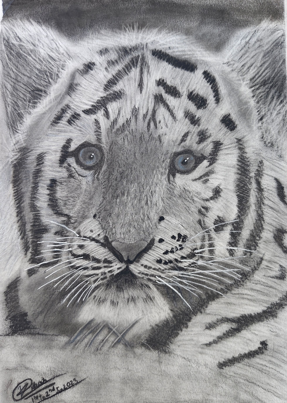 A Cute Tiger's Cub