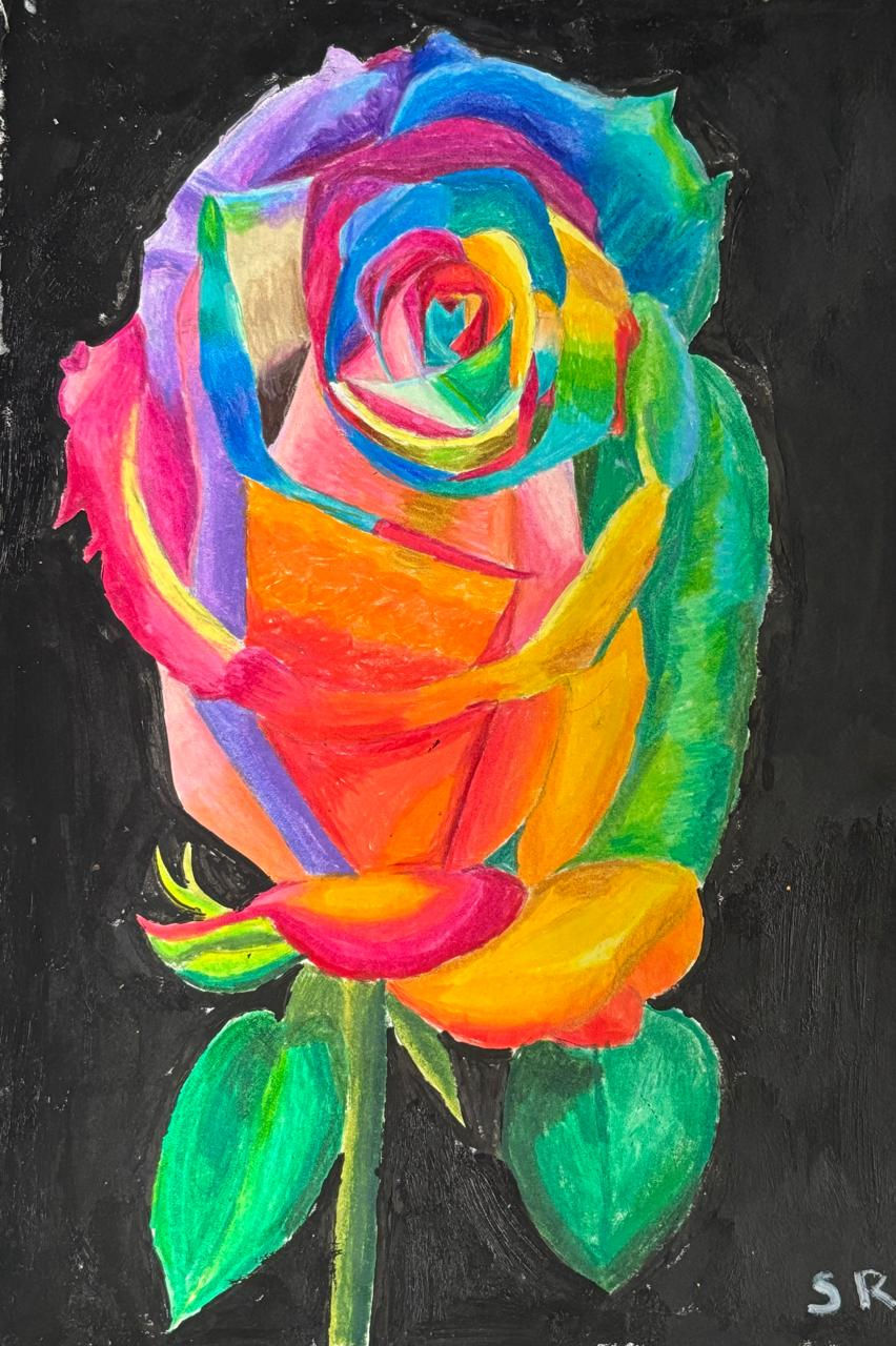 The Colourful Rose 