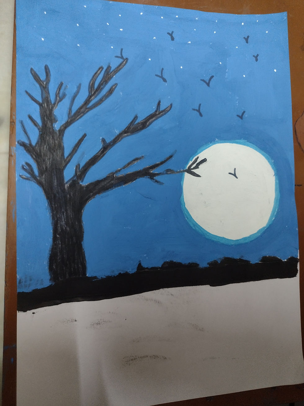  Night Nature 