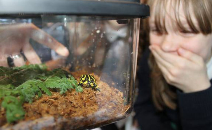 School student and cfrog.jpeg