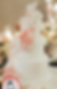 2025-08-15_10h33_34.png