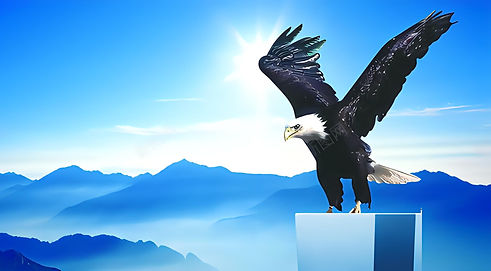 Introduce the corporate vision of ZTK Company
