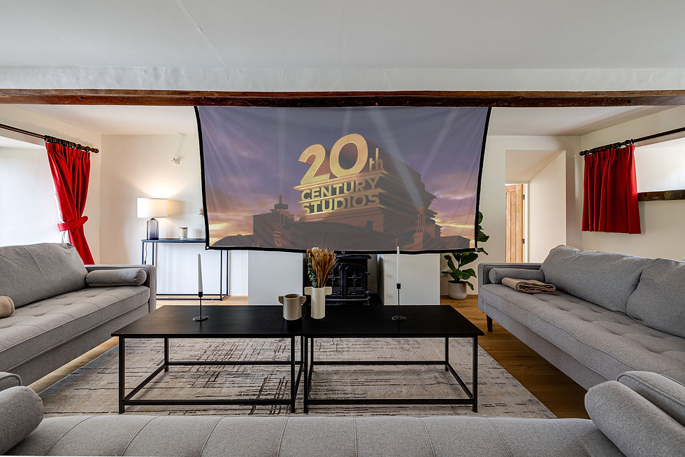 Living Room - Cinema - Overhead projector & screen set up