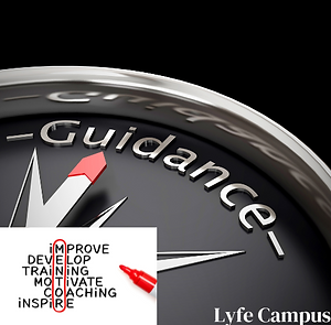 Guidance Pic final .png