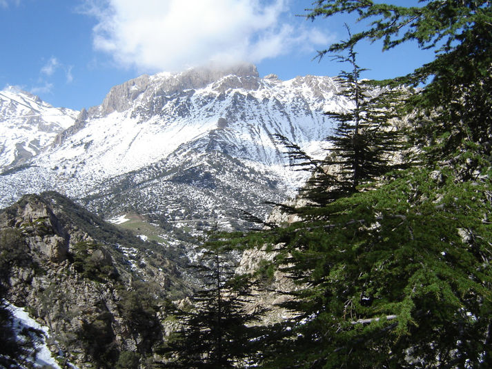 Osez le camping dans les montagnes algériennes