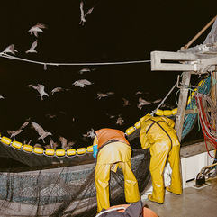Jon Tonks Interview The Guardian The Observer Fishing Cornwall Finn Blythe