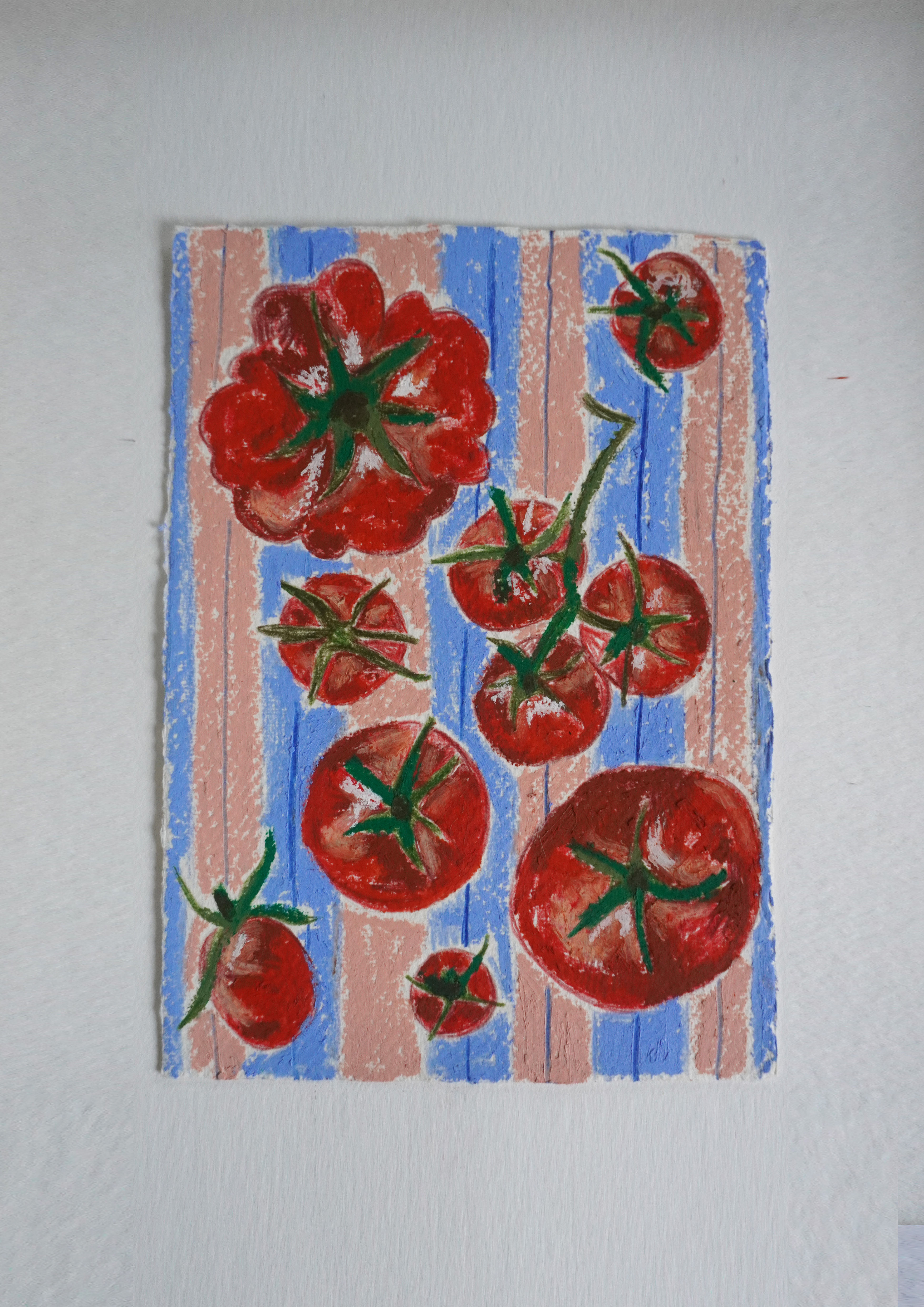 toms in blue pink stripe