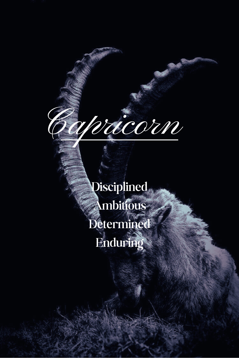 Full Moon in Capricorn Ritual Guide & Reading