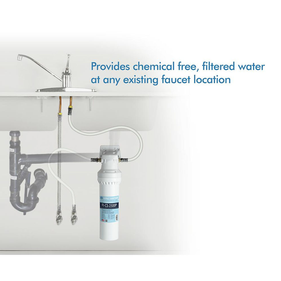 Thumbnail: CS-Series High Capacity Water Filtration System with Scale Inhibit