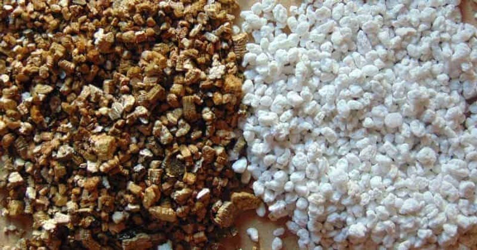 Perlite-vs.-Vermiculite.jpg