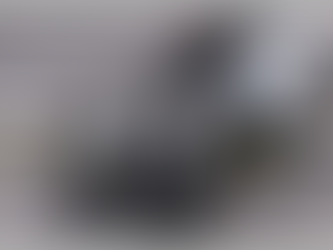 La forza dell'oggettività