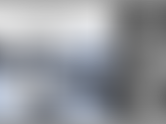 Iudex peritus peritorum