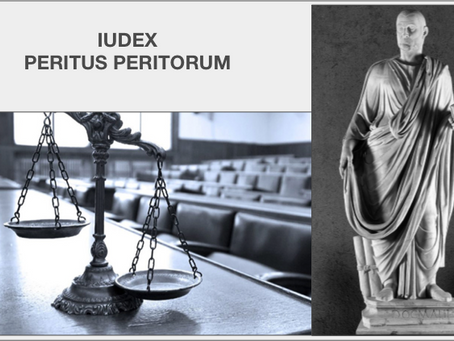 Iudex peritus peritorum