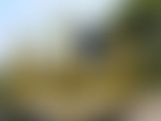 Nos primeiros cinco meses, consumo de gás natural aumenta 12%