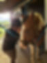 bently.jpg