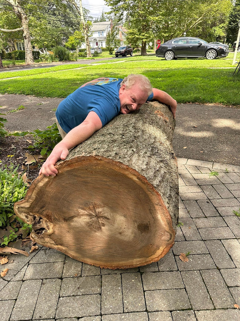 Man hugging large cut tree trunk