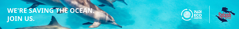we're saving the ocean, join us! PADI & ECO