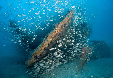 Olympus wreck.jpeg