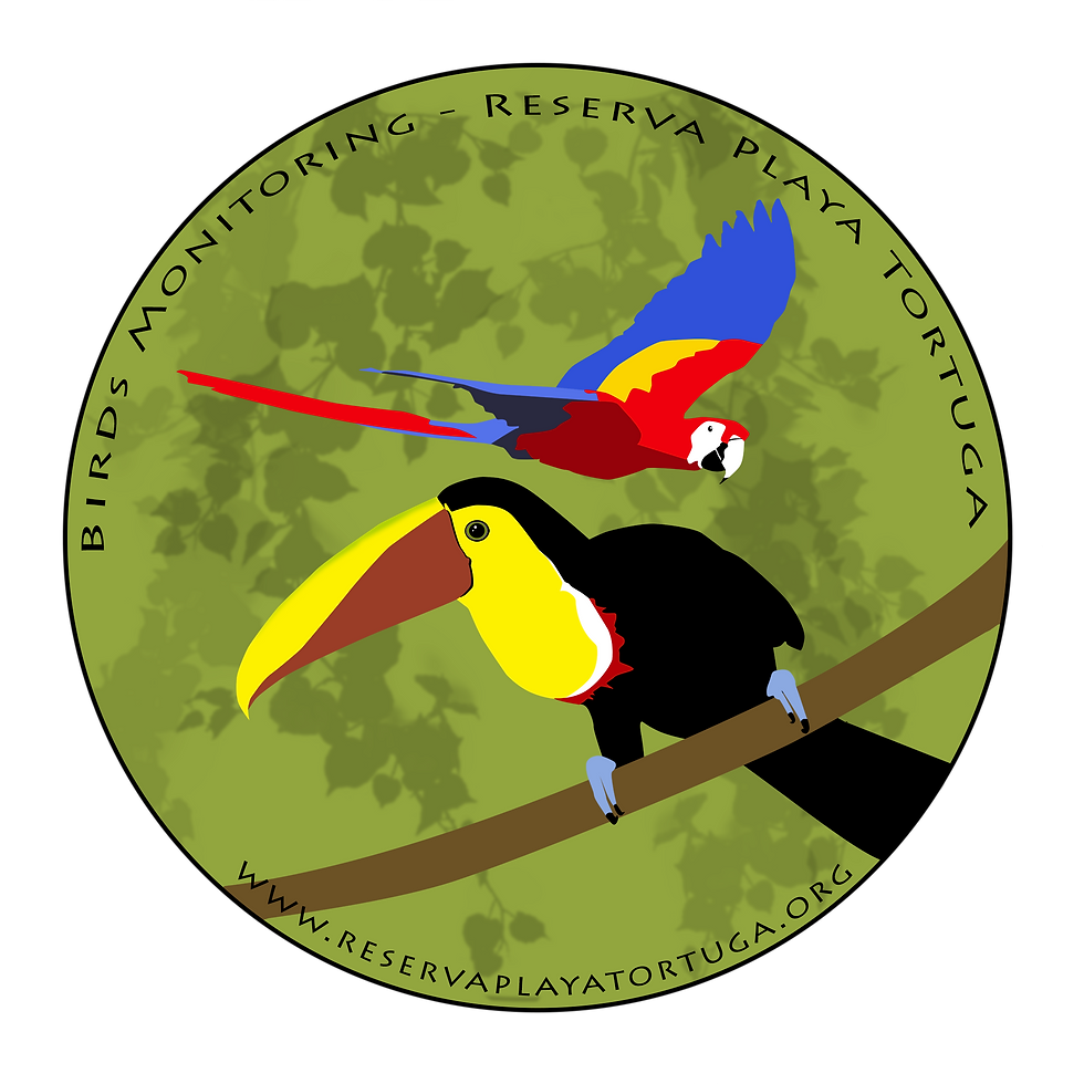 Logo for a Volunteer program