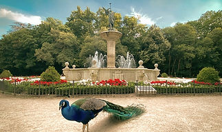 campo grande fuente de la fama_1_edited.jpg