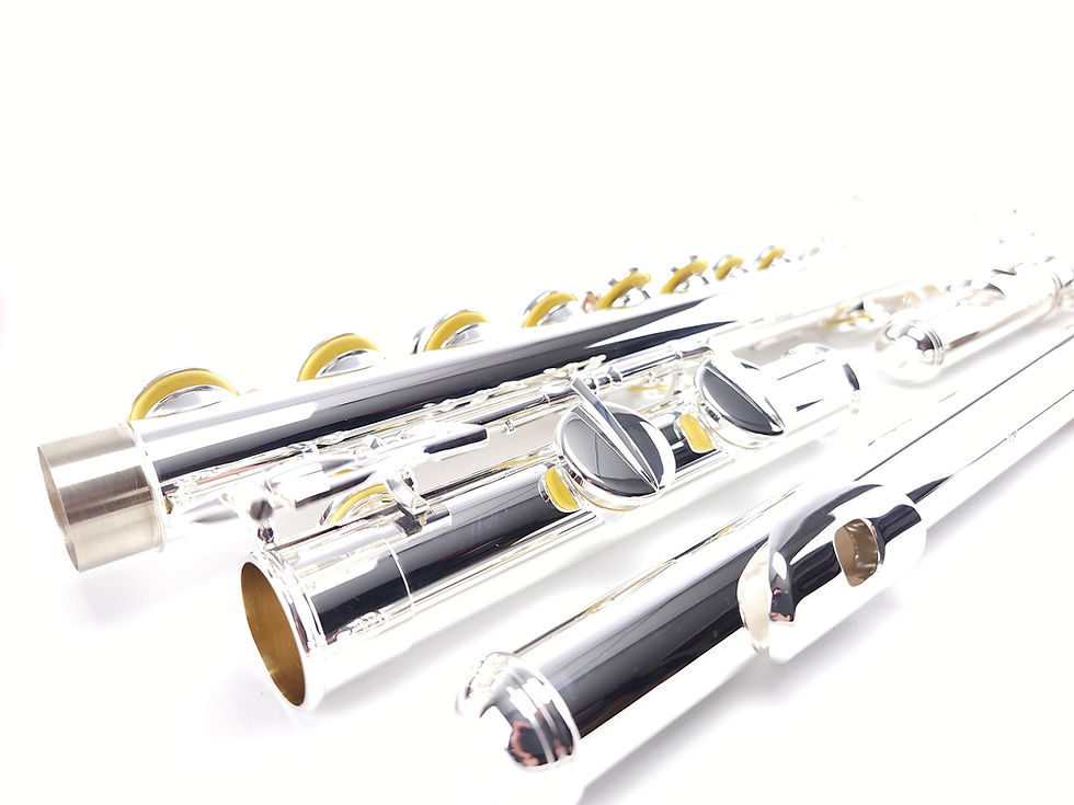 Thumbnail: Di Zhao Alto DZA 100 Flute Curved + Straight Head NEW