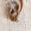 Miniaturbild: LINEA || Small Ear Studs