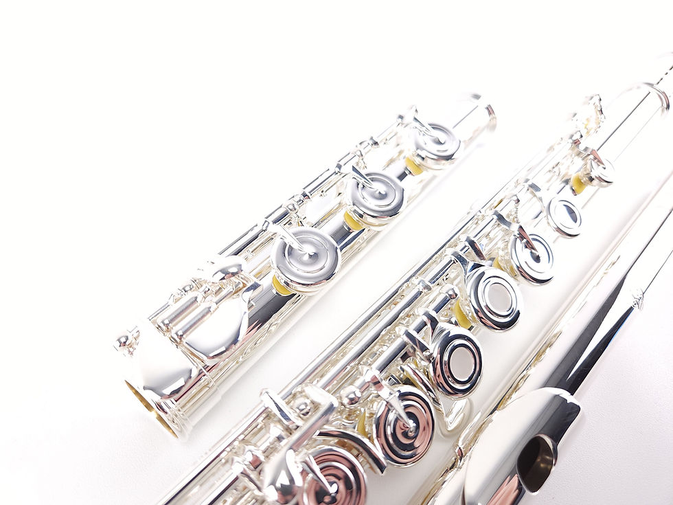 Thumbnail: Di Zhao DZ 801 E Silver Pre-Pro Step-Up B Foot Open Hole Flute NEW