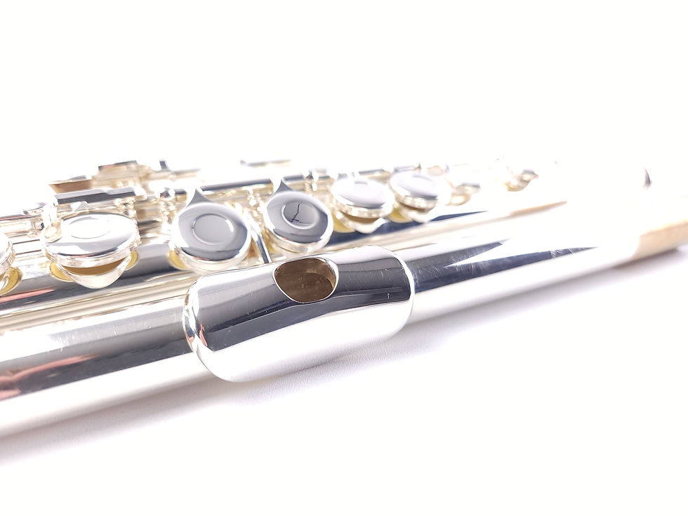 Thumbnail: Gemeinhardt Artisan 2SP-A NG1 Student Beginner Flute (Pre-Owned Refurbished)