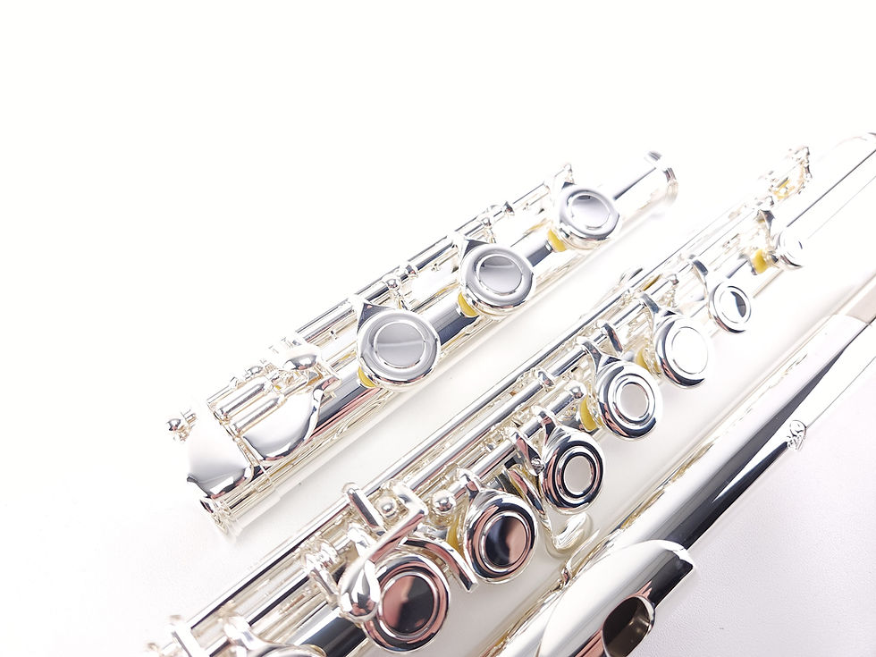 Thumbnail: Di Zhao DZ 401 E Intermediate Silver Lip B Foot Open Hole Flute NEW