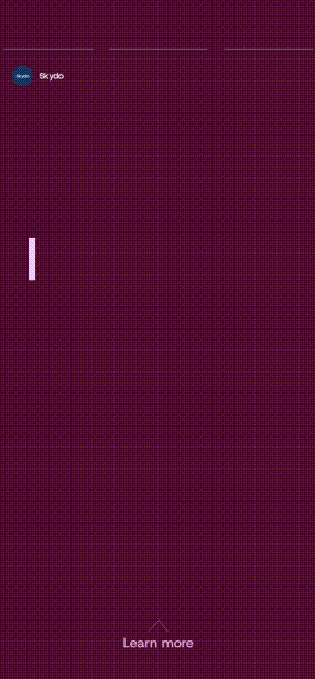 Skydo instagram story version 3.gif