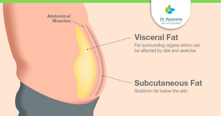 Have you heard about visceral fat?
