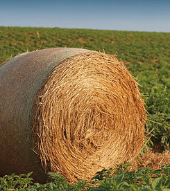 Rundballen Stroh (1,20m)