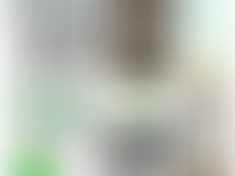 【今月のやちよ】2024年第31号