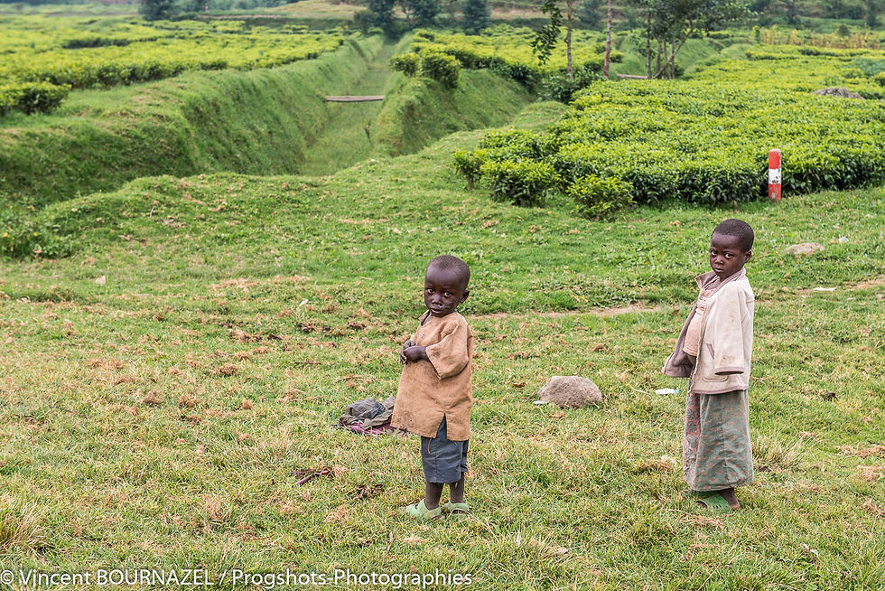 2015 congo