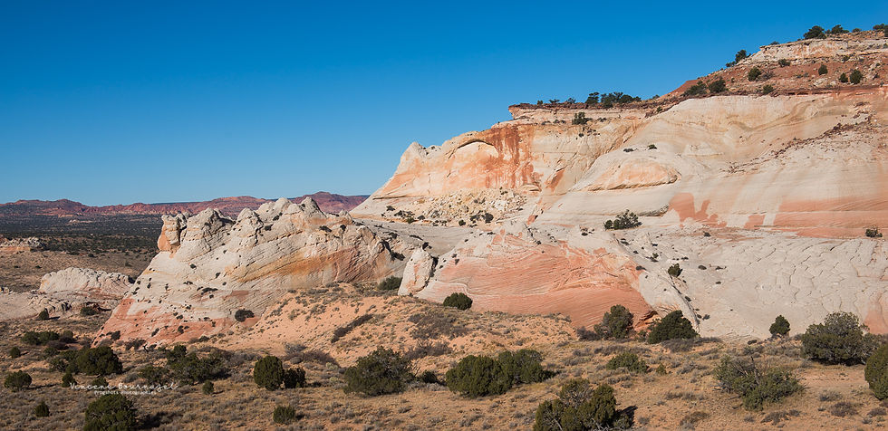 White Pocket North area