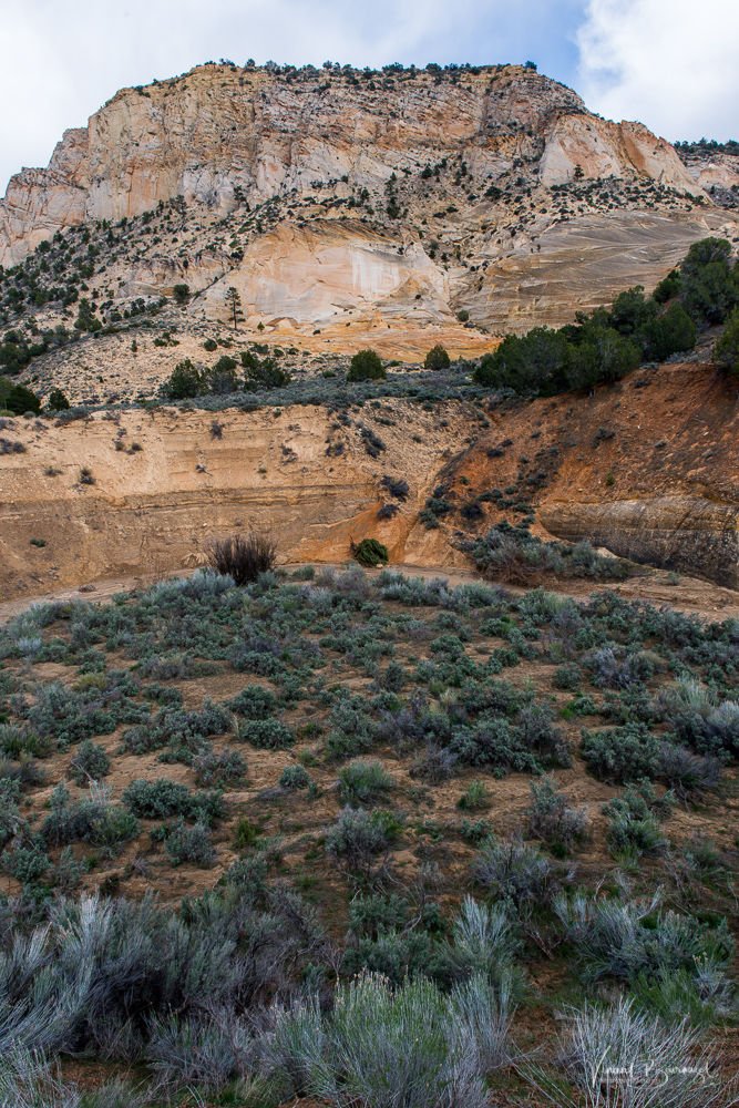 Johnson Canyon