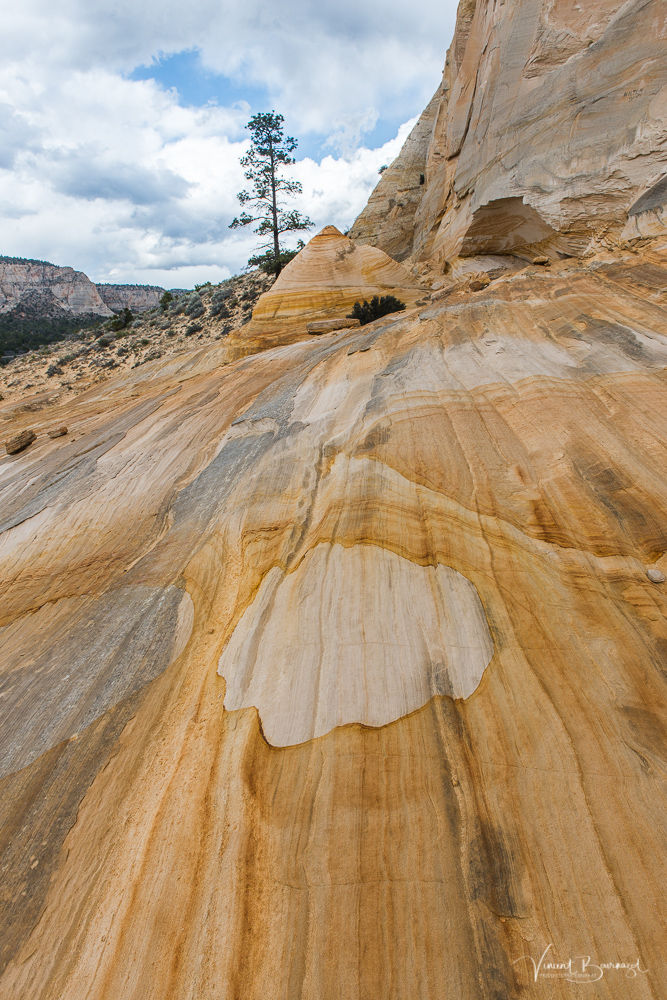 Johnson Canyon