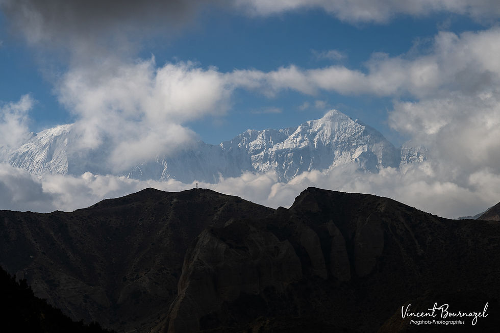 Le Nilgiri