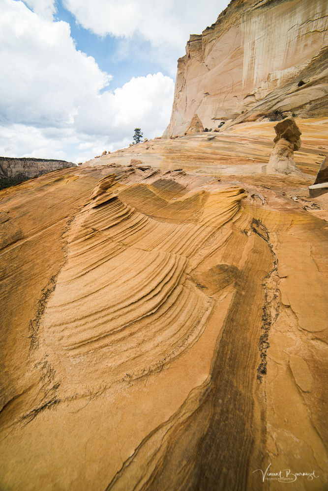 Johnson Canyon