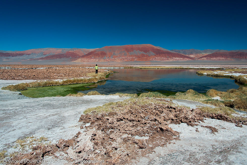 Laguna carachi pampa