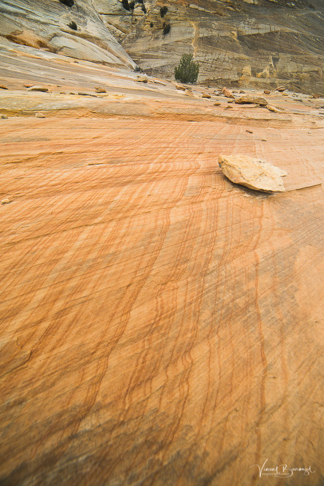 Johnson Canyon