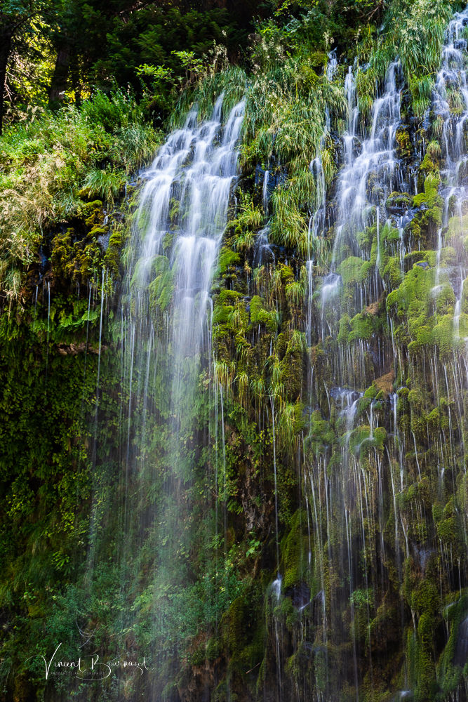 Mossbrae Falls